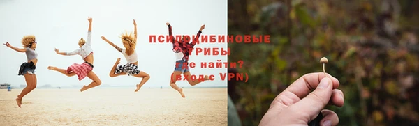 гидра Алексин