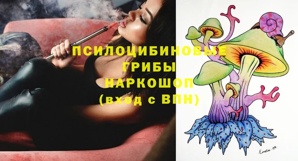 apvp Алексеевка