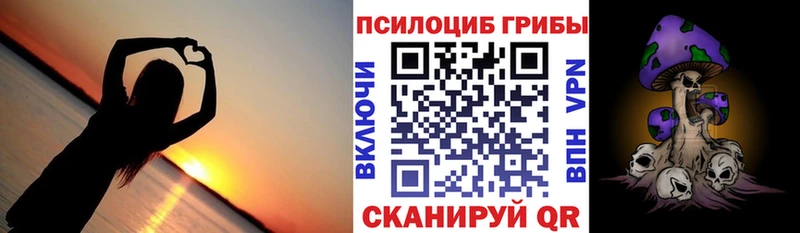 мега ТОР  Нестеров  Псилоцибиновые грибы Psilocybine cubensis 